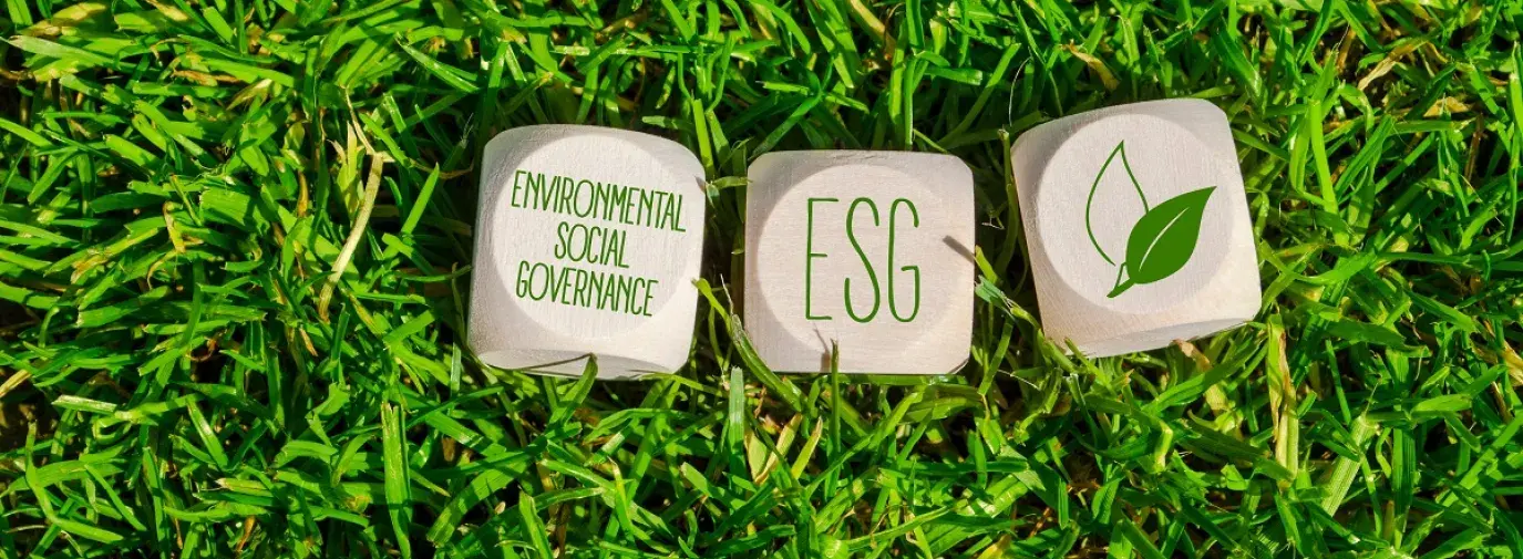 Environmental Social Governance - blocks in grass